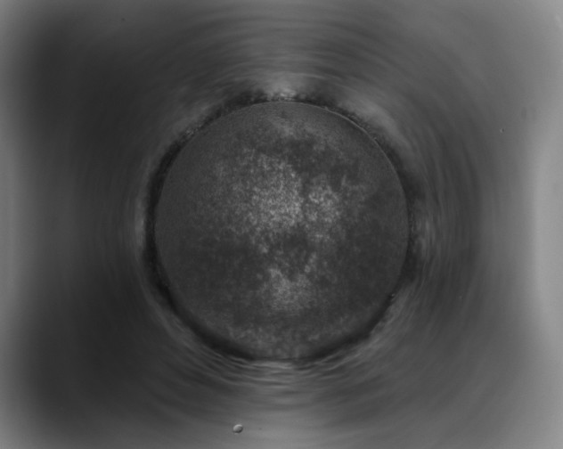 X0000089440496200706151416