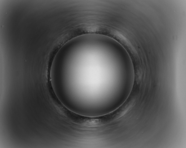 X0000089440497200706151416