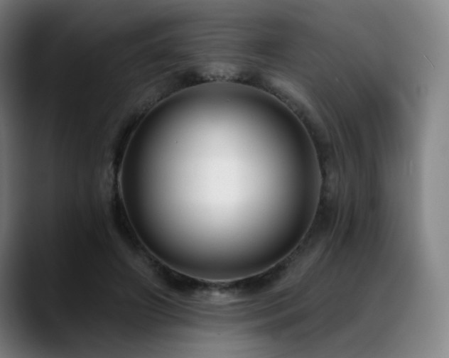X0000089440498200706151416