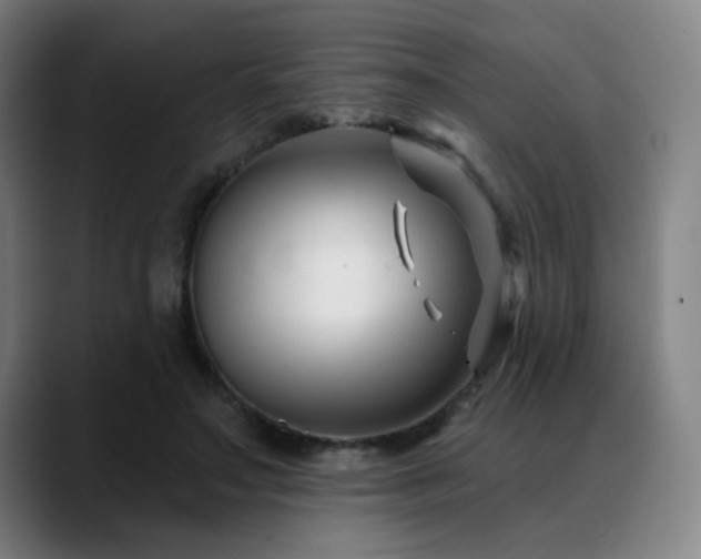 X0000089440499200706151416