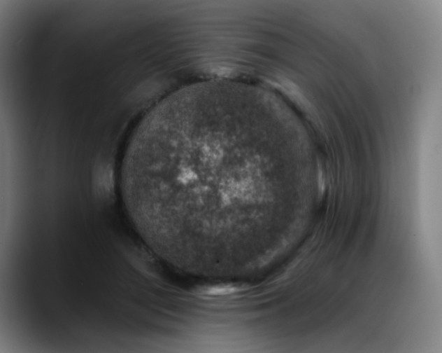 X0000089440500200706151416
