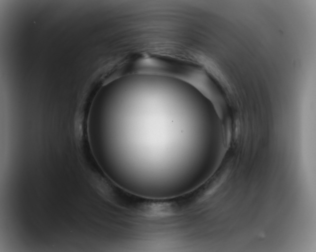 X0000089440501200706151416