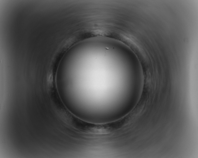 X0000089440502200706151416