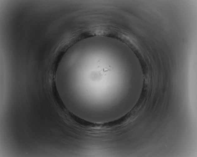 X0000089440503200706151416