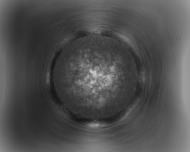 X0000089440504200706151416