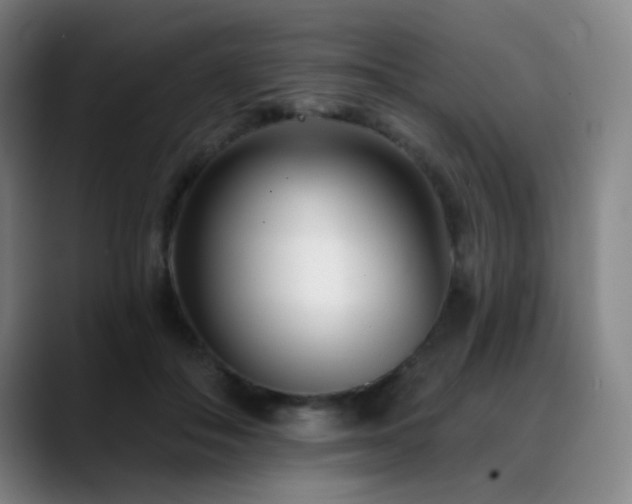 X0000089440506200706151416