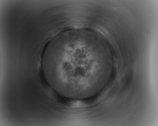 X0000089440507200706151416