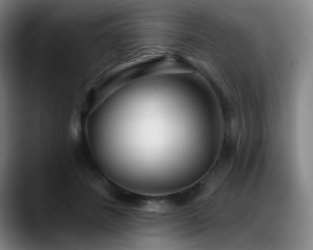X0000089440508200706151416