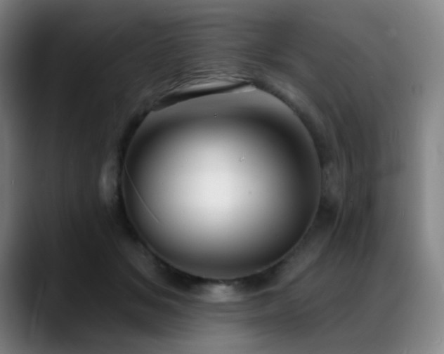 X0000089440509200706151416