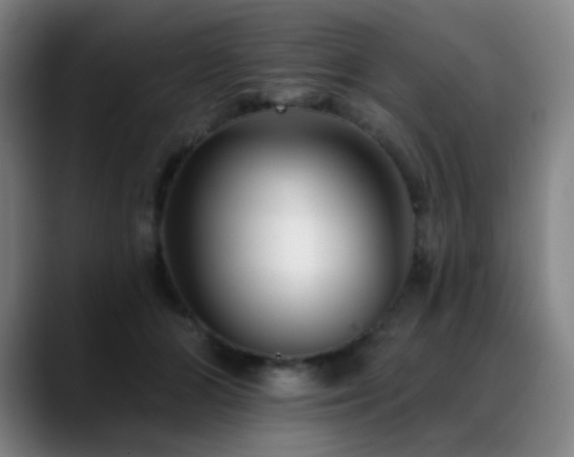 X0000089440510200706151416