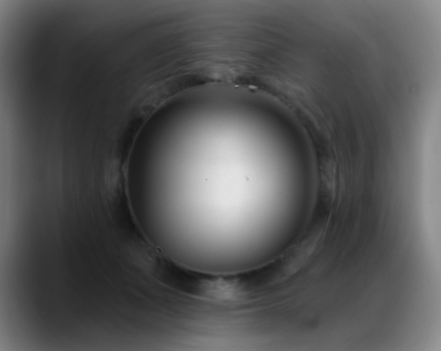 X0000089440511200706151416