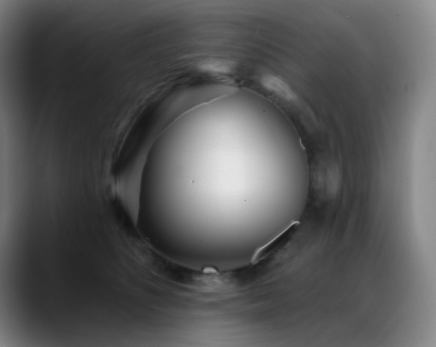 X0000089440516200706151416