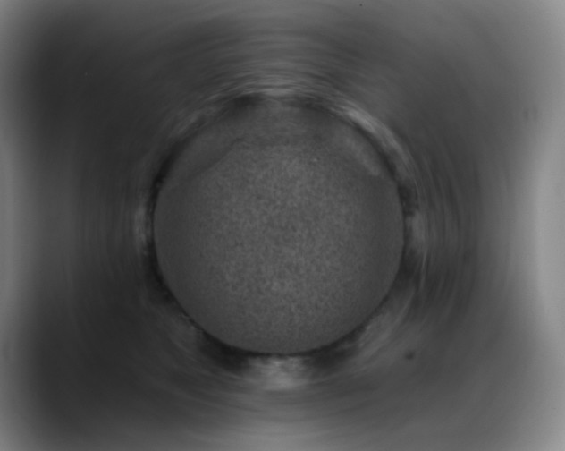 X0000089440517200706151416