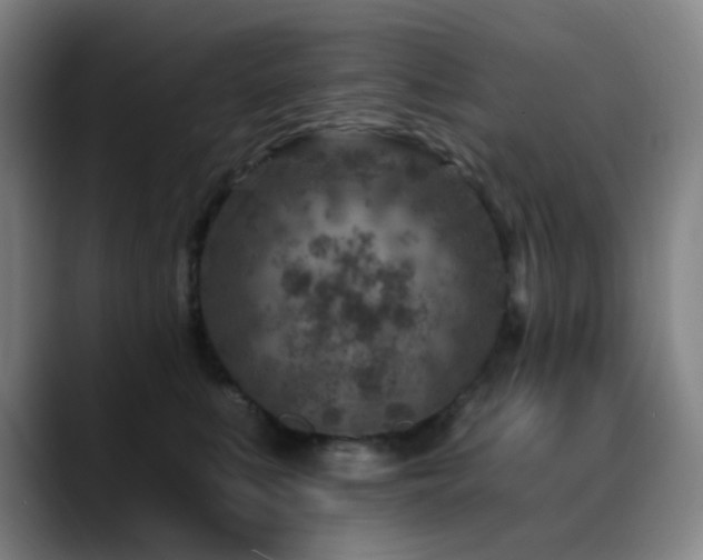 X0000089440519200706151416