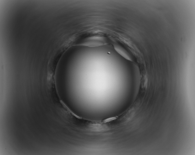 X0000089440521200706151416