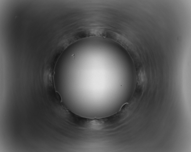 X0000089440522200706151416