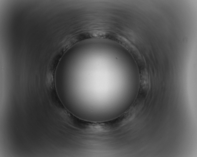 X0000089440523200706151416