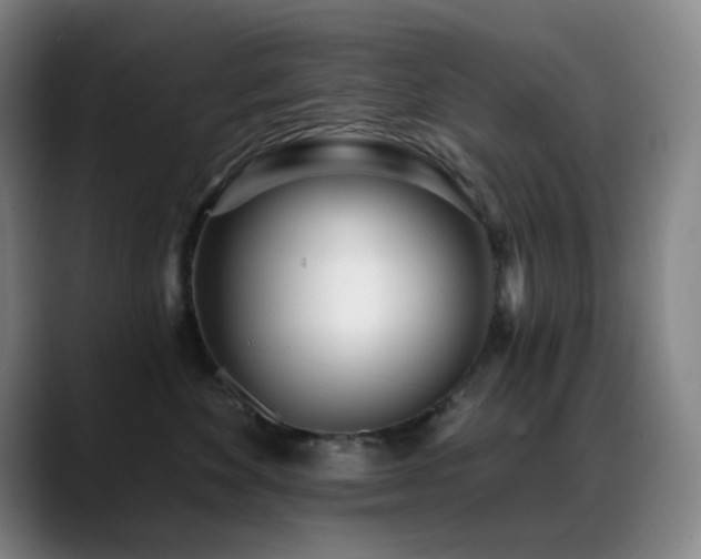 X0000089440524200706151416