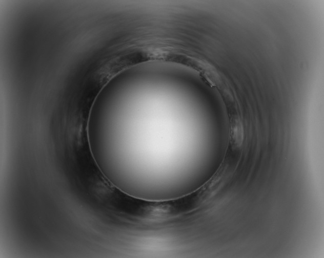 X0000089440525200706151416