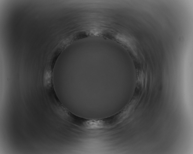 X0000089440526200706151416