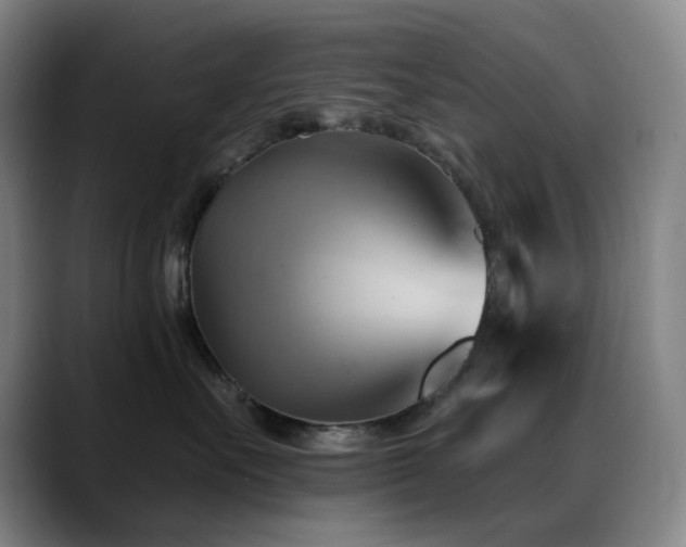 X0000089440527200706151416
