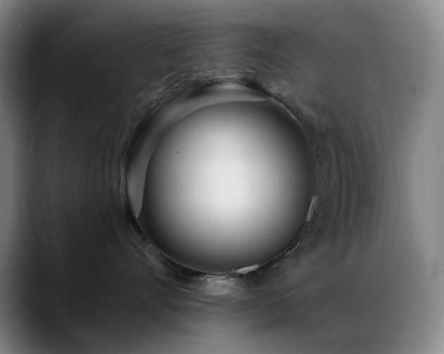 X0000089440528200706151416