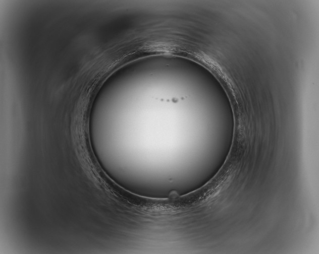 X0000089440529200706151415