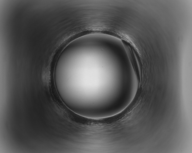 X0000089440531200706151415