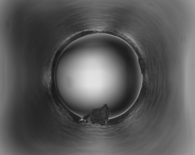 X0000089440532200706151415