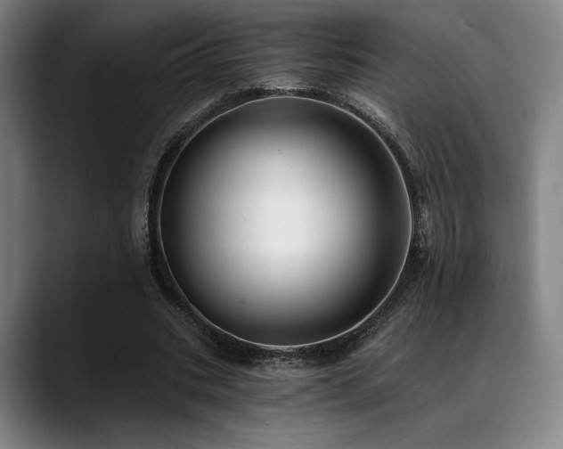 X0000089440535200706151415