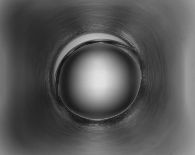 X0000089440538200706151415