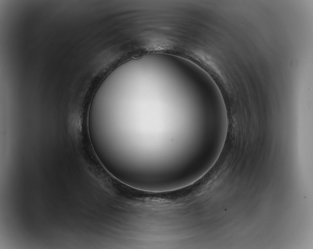 X0000089440539200706151415