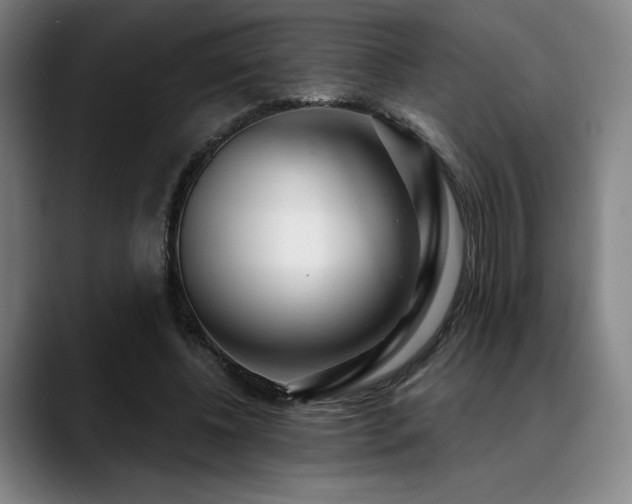 X0000089440540200706151415
