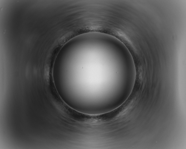 X0000089440542200706151415