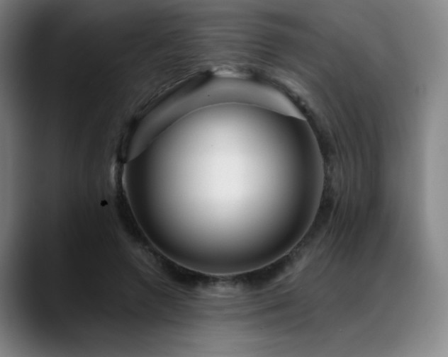 X0000089440546200706151415