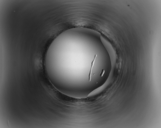 X0000089440547200706151415