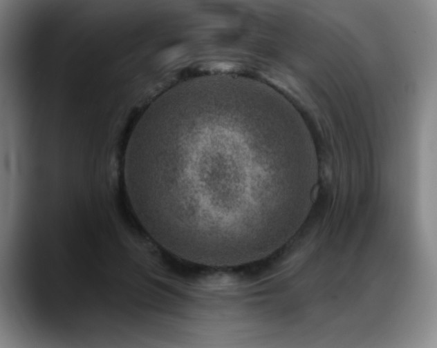 X0000089440551200706151415
