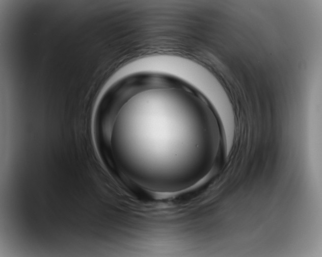 X0000089440552200706151415