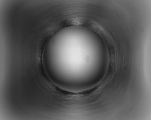 X0000089440553200706151415