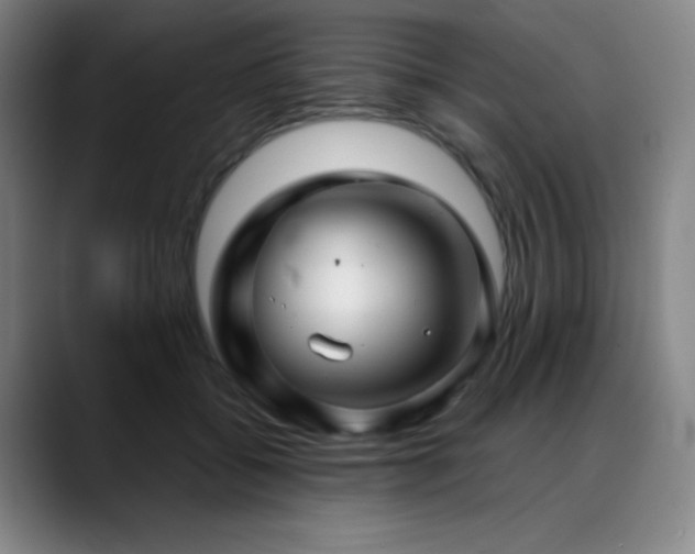 X0000089440556200706151415