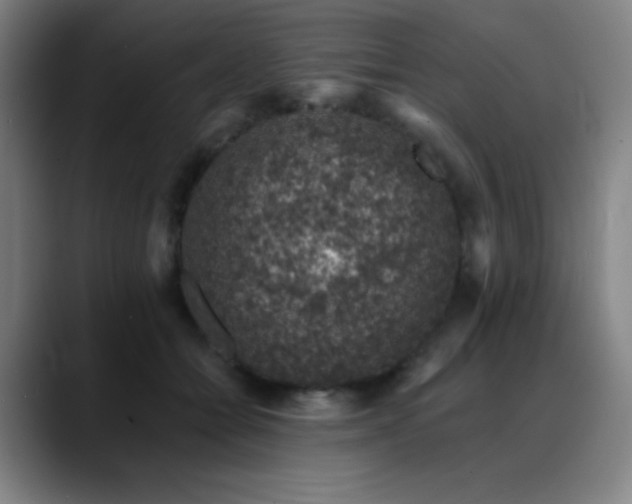 X0000089440558200706151415