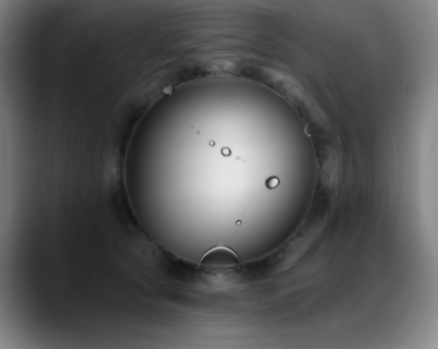X0000089440561200706151415