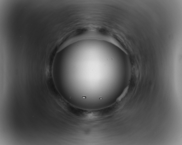 X0000089440564200706151415