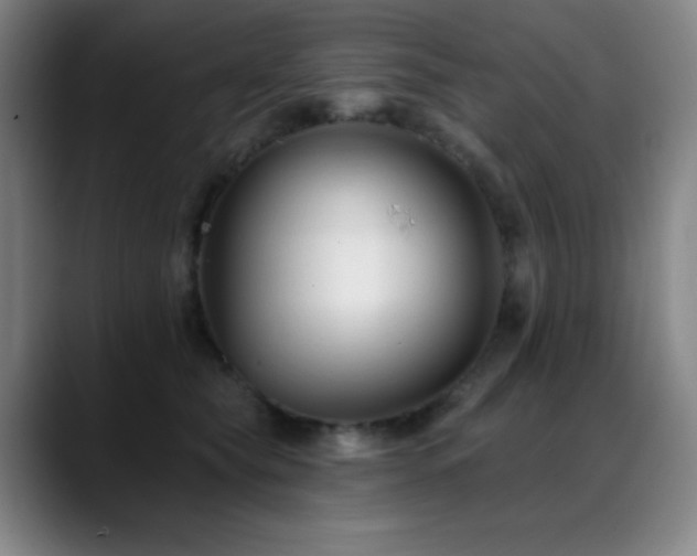 X0000089440565200706151415