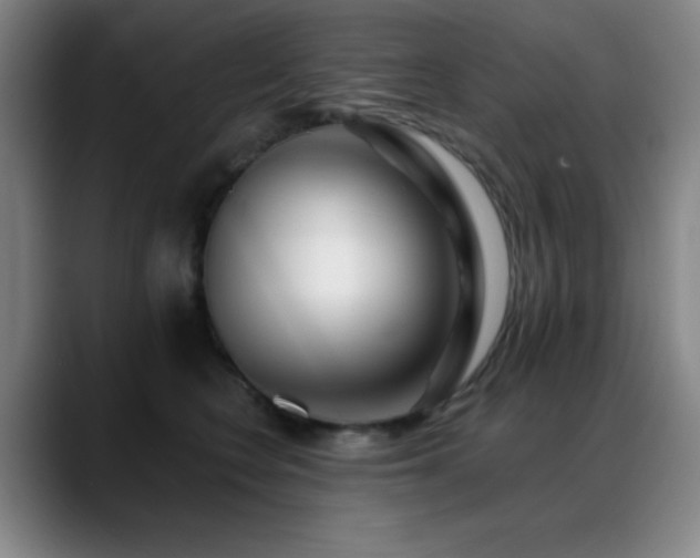 X0000089440566200706151415