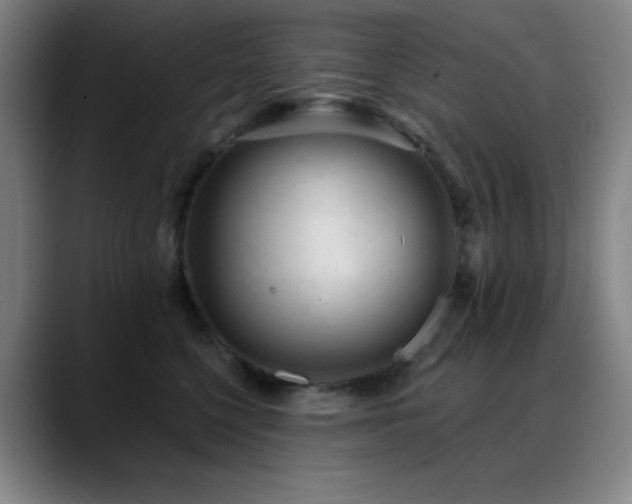 X0000089440568200706151415