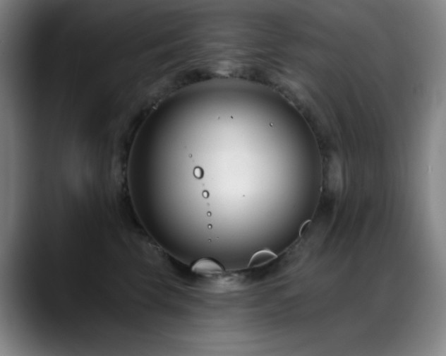 X0000089440569200706151415