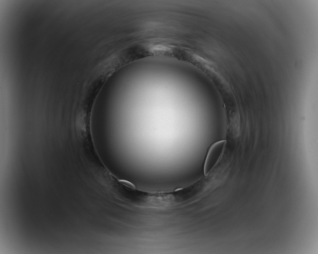 X0000089440571200706151415