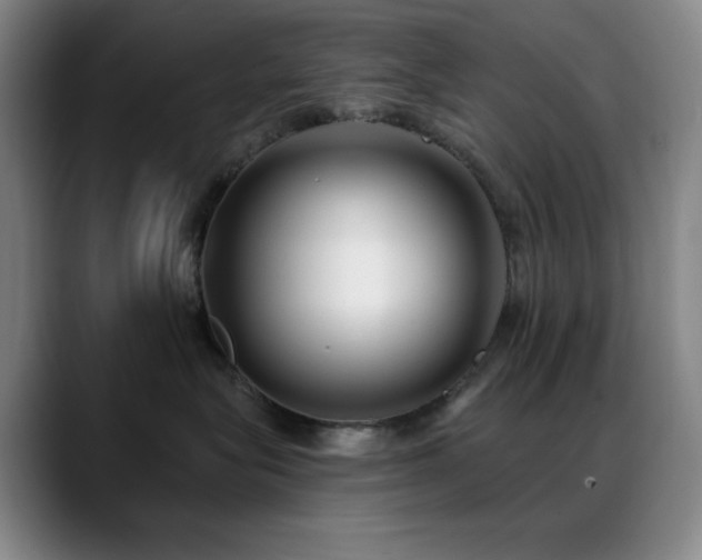 X0000089440575200706151416