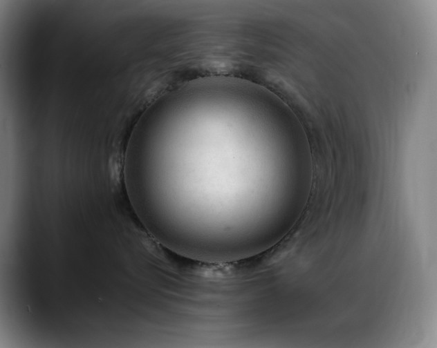 X0000089440576200706151416